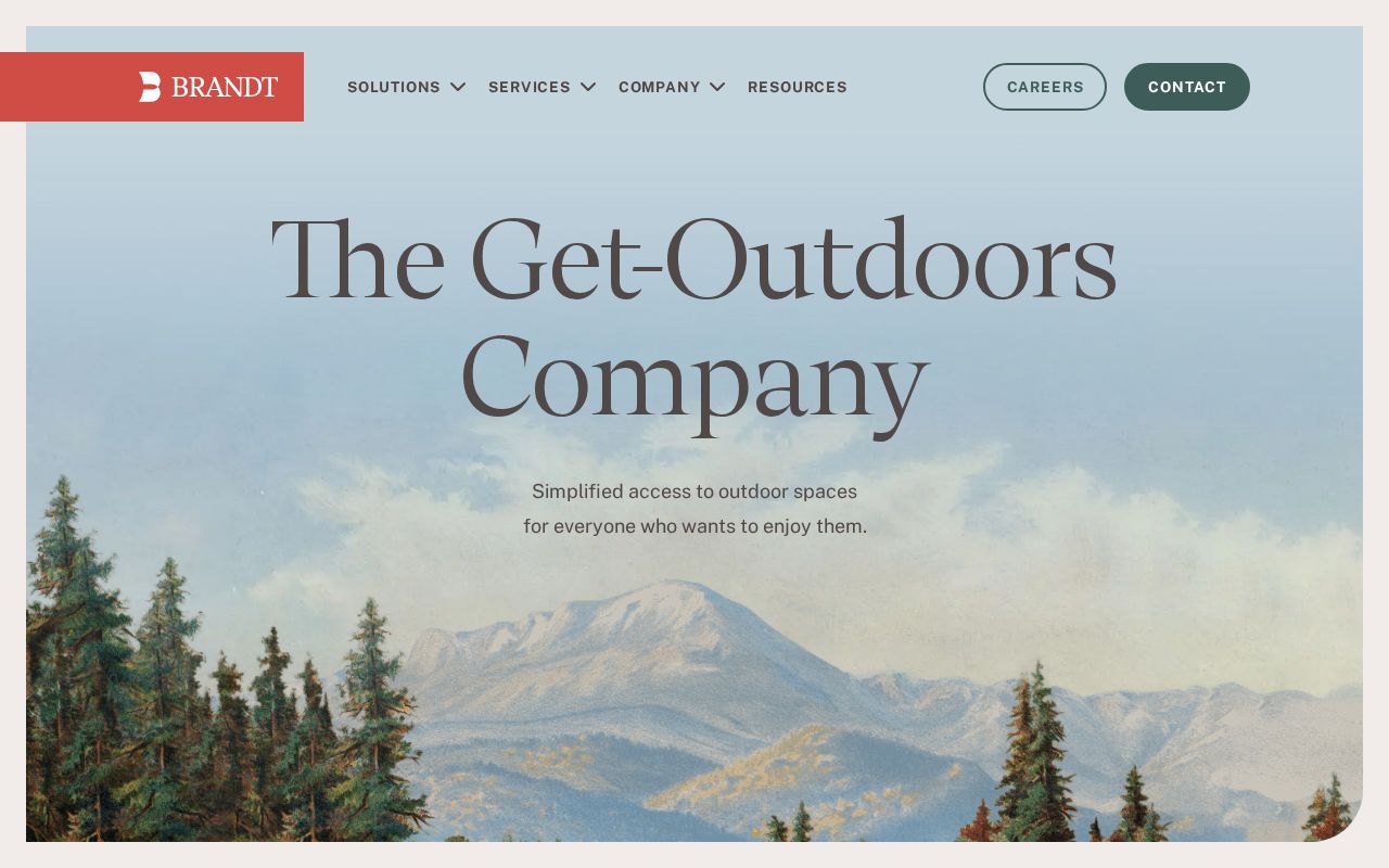 The brandtinfo.com homepage, first screen