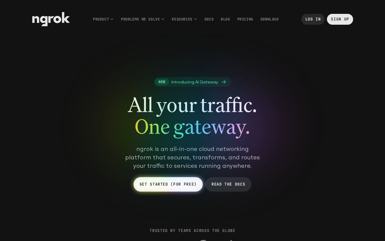 Screenshot of ngrok.com