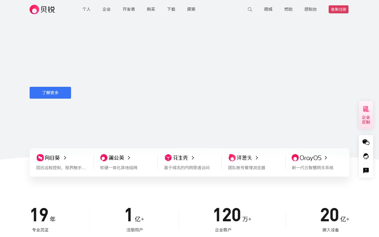 Screenshot of oray.com