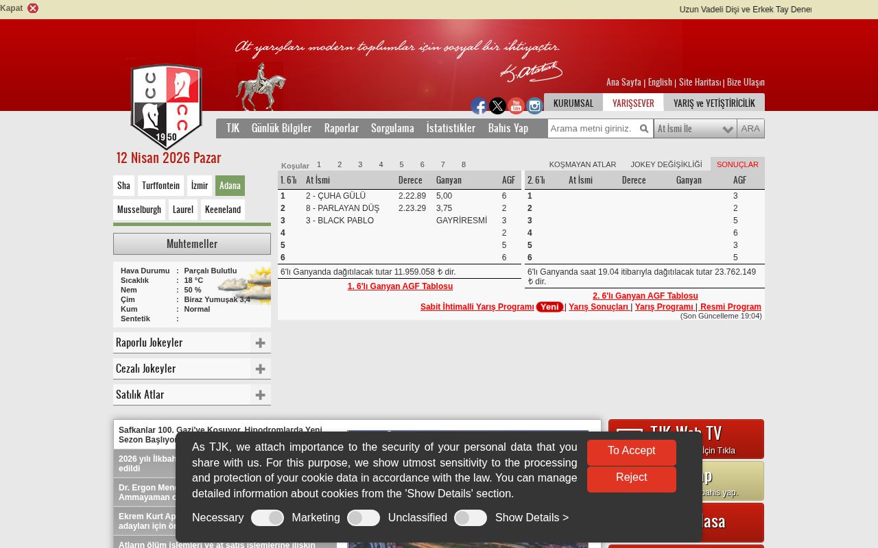 Screenshot of tjk.org