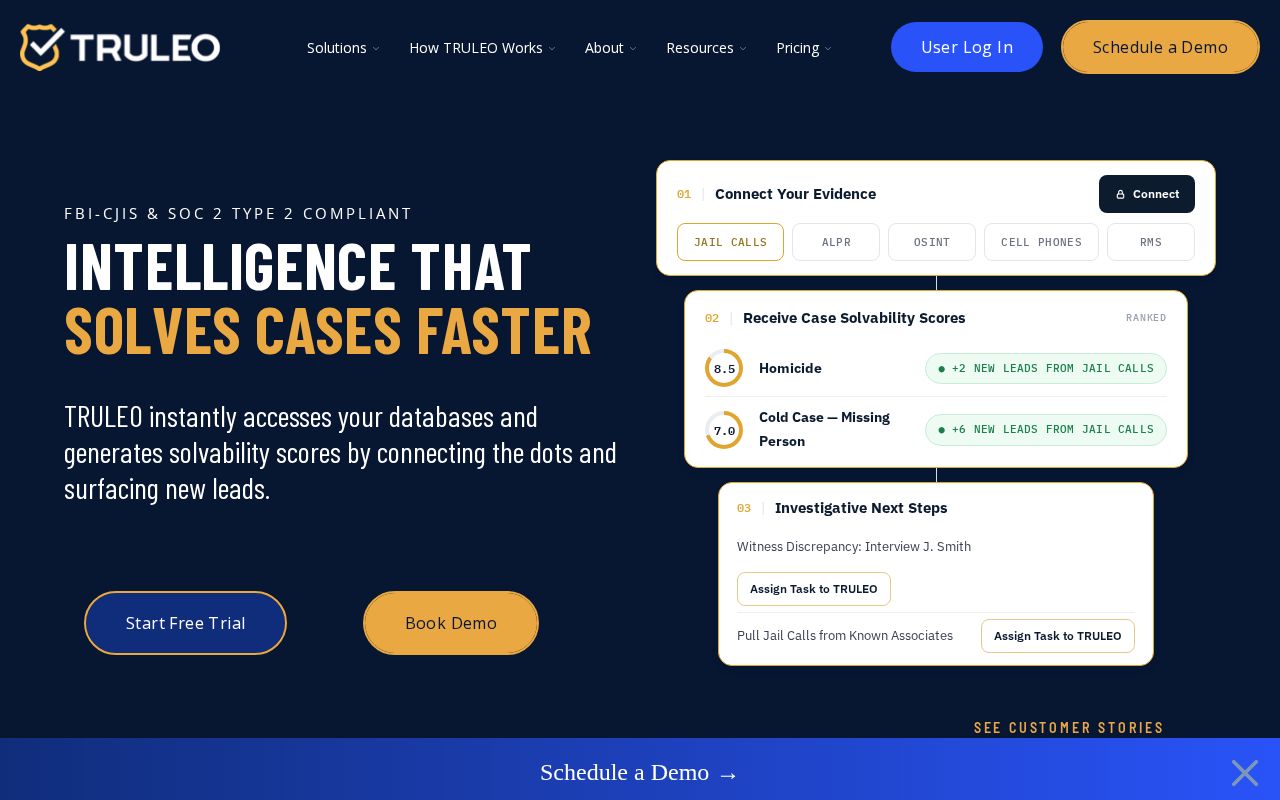 The truleo.co homepage, first screen